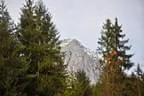 Vereinsturnier-21