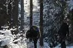 IMG-0174
