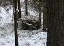IMG-0261