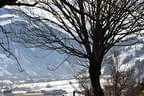 1. Primbogenturnier Bild 29