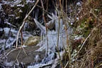 1. Primbogenturnier Bild 54