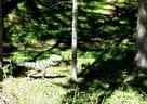 14. internationales Dolomitenturnier Bild 88