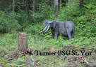 4. Turnier BSU St. Veit