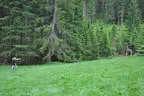 4. Turnier BSU St. Veit Bild 82