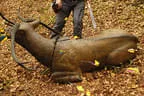 12. Nocksteinturnier Bild 35