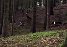 Rund um die Gotzenmühle Bild 70