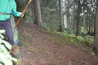 Rund um die Gotzenmühle Bild 71