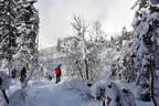 2016/17 Winterimpressionen Bild 21