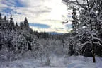 2016/17 Winterimpressionen Bild 27