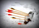 11. Saalfeldener Winterturnier Bild 84
