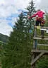 13. Glemmerhofturnier Bild 226