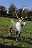 9. Jagdbogenmeisterschaft Bild 120