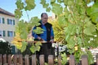 9. Jagdbogenmeisterschaft Bild 123