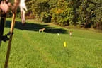 9. Jagdbogenmeisterschaft Bild 99