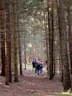 9. Jagdbogenmeisterschaft Bild 129