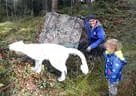 Winterumbau 2017/18 Bild 21