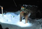 2017/18 Silvesterschiassn Bild 32