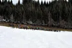 8. Turnier BSC Oberkrammern 2018 Bild 4
