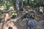 2018 Sommerparcoursumbau Bild 28
