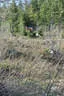 2018 Sommerparcoursumbau Bild 31