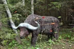 6. Turnier der BSU St. Veit 2018 Bild 61
