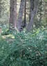 TLM/TM Absam 2018 Bild 11
