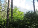 TLM/TM Absam 2018 Bild 12