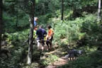 Weberbauerestammtisch 2018 Bild 35