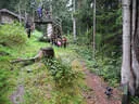 13. Saalfeldener Blattlturnier 2018 Bild 55
