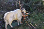 29. Jochberger Jagdbogenturnier 2018 Bild 59