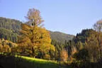 29. Jochberger Jagdbogenturnier 2018 Bild 93