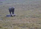 10. Abenberger Jagdbogenturnier 2018 Bild 45