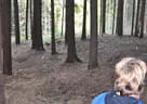 10. Abenberger Jagdbogenturnier 2018 Bild 80