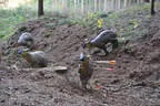 10. Abenberger Jagdbogenturnier 2018 Bild 81