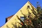 10. Abenberger Jagdbogenturnier 2018 Bild 109