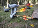 10. Abenberger Jagdbogenturnier 2018 Bild 96