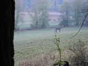 10. Abenberger Jagdbogenturnier 2018 Bild 90