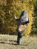 10. Abenberger Jagdbogenturnier 2018 Bild 92
