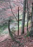 5erl BSV Pointenhof 2018 Bild 16