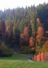 5erl BSV Pointenhof 2018 Bild 47