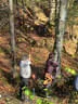 Kürbiskopfturnier 2018 Bild 11