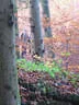 Kürbiskopfturnier 2018 Bild 27