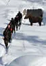 Winter 5erl beim BSC Final Target 2019 Bild 93