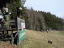 9. Turnier BSV Oberkrammern 2019 Bild 64