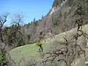 Kufsteiner Härtetest 2019 Bild 32