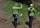 11. Iseltalturnier 2019 Bild 104