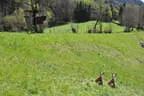 11. Iseltalturnier 2019 Bild 84
