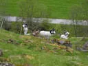 15. Glemmerhofturnier 2019 Bild 113