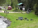 15. Glemmerhofturnier 2019 Bild 118