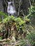 15. Glemmerhofturnier 2019 Bild 131